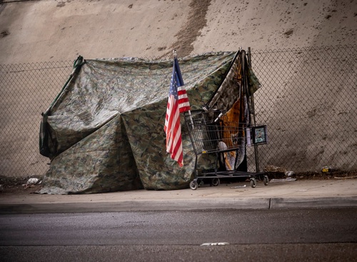A New Push to Put Homeless Veterans Under Legal Guardianship